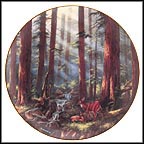 Sunlit Retreat - Sequoia National Park Collector Plate by Rudi Reichardt MAIN