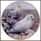 Arctic Royalty - Snowy Owls Collector Plate by Trevor Boyer MAIN