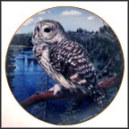 On The Lookout - Barred Owl Collector Plate by Trevor Boyer MAIN