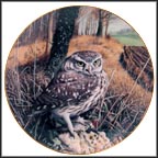Watchful Eyes - Little Owl Collector Plate by Trevor Boyer MAIN