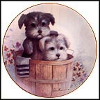 Hide And Seek Collector Plate by Ruane Manning MAIN