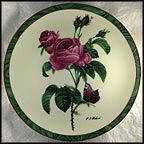 The Perfect Rose Collector Plate by Pierre Redouté MAIN