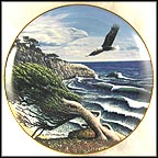 Eagle Cove Collector Plate by John Van Straalen MAIN
