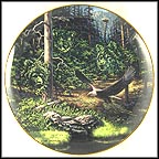 Forest Sentinel Collector Plate by John Van Straalen MAIN
