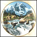 Whitewater Falls Collector Plate by John Van Straalen MAIN