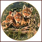 Safety In Numbers Collector Plate by Audrey Casey MAIN