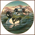 Barrow's Golden Eye Collector Plate by Darrell Bush MAIN