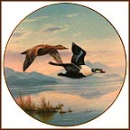 Flying In: King Eider Ducks Collector Plate by Darrell Bush MAIN