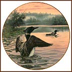Morning Light: Common Loons Collector Plate by Darrell Bush MAIN