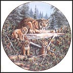 Mother's Watchful Eye - Lynx Collector Plate by Joan Sharrock MAIN
