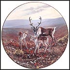On The Trail - Caribou Collector Plate by Joan Sharrock MAIN
