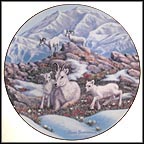 Spring On The Mountain - Mountain Sheep Collector Plate by Joan Sharrock MAIN