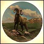 The Bighorn Sheep Collector Plate by Paul Krapf MAIN