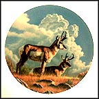The Pronghorn Collector Plate by Paul Krapf MAIN