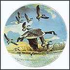 The Landing Collector Plate by Donald Pentz MAIN