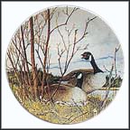 The Nesting Collector Plate by Donald Pentz MAIN