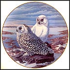 Arctic Watch - Quebec's Snowy Owl Collector Plate by Terry McLean MAIN