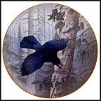 Herald Of The Woods - British Columbia's Steller's Jay Collector Plate by Terry McLean MAIN