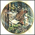 Freedom's Flight Collector Plate by Ronald Van Ruyckevelt MAIN