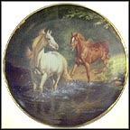 Free As The Wind Collector Plate by Barrie Linklater MAIN