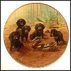 Team Practice Collector Plate MAIN