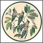 Bohemian Waxwing Collector Plate by Arthur Singer MAIN