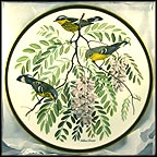 Magnolia Warbler Collector Plate by Arthur Singer MAIN