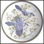 Blue Jay Collector Plate by Arthur Singer MAIN