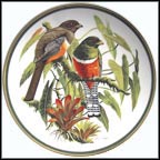 Collared Trogon Collector Plate by Arthur Singer MAIN