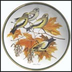 Evening Grosbeak Collector Plate by Arthur Singer MAIN