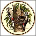 Great Spotted Woodpecker Collector Plate by Arthur Singer MAIN