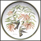 Rivoli's Hummingbird Collector Plate by Arthur Singer MAIN