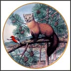 American Marten In The November Pines Collector Plate by Peter Barratt MAIN