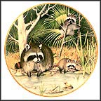Curious Raccoons At An April Pond Collector Plate by Peter Barratt MAIN
