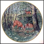Fawns In The June Meadow Collector Plate by Peter Barratt MAIN