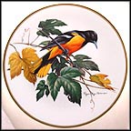 Baltimore Oriole Collector Plate by Roger Tory Peterson MAIN