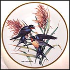 Barn Swallow Collector Plate by Roger Tory Peterson MAIN