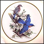 Bluebird Collector Plate by Roger Tory Peterson MAIN