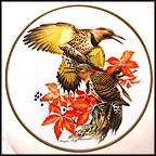 Flickers Collector Plate by Roger Tory Peterson MAIN