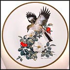 Mockingbird Collector Plate by Roger Tory Peterson MAIN