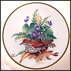 Wood Thrush Collector Plate by Roger Tory Peterson MAIN
