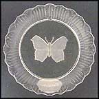Butterfly Collector Plate MAIN