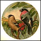 Bullfinch Collector Plate by G. Marks MAIN