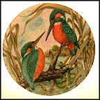 Common Kingfisher Collector Plate by G. Marks MAIN