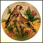 Goldfinch Collector Plate by G. Marks MAIN