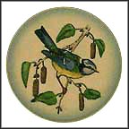 Blue Titmouse Collector Plate MAIN