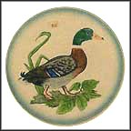 Mallard Collector Plate MAIN