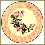 Parula Warbler With Bougainvillea - Glabra Collector Plate by Edward Marshall Boehm MAIN