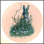 Cottontail Collector Plate by Harry Moeller MAIN