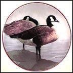 Canada Geese Collector Plate by Rod Lawrence MAIN